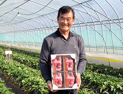 おいしさ弾ける『いばらき苺』キャンペーン いちごグランプリ(いちごPR)いばらキッスの部大賞 小美玉市の井川肇さん