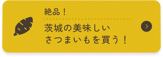 絶品 茨城の美味しいさつまいもを買う！