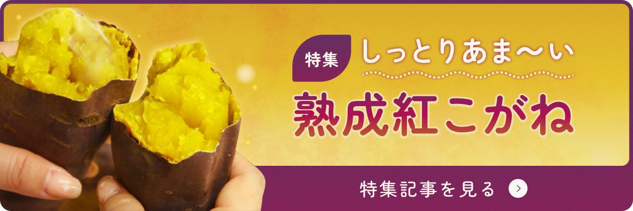 特集記事 しっとりあま~い熟成紅こがね