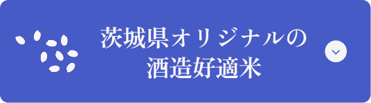 茨城県オリジナルの酒造好適米