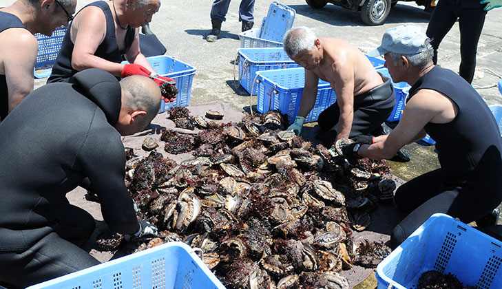 歯ごたえと旨味を堪能！高級食材「あわび」