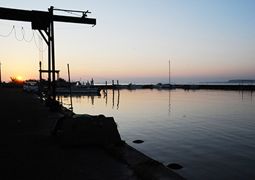 香り際立つ万能食材！「テナガエビ」テナガエビ漁