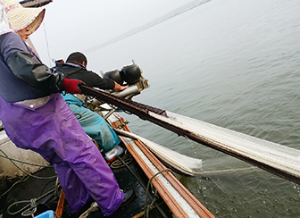 香り際立つ万能食材！「テナガエビ」テナガエビ漁