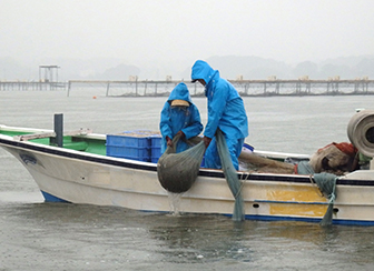 香り際立つ万能食材！「テナガエビ」テナガエビ漁
