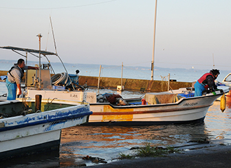 香り際立つ万能食材！「テナガエビ」テナガエビ漁