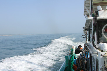 はまぐり漁 休む間もなく船を別のポイントに移動させ、再びマンガを投げ入れます