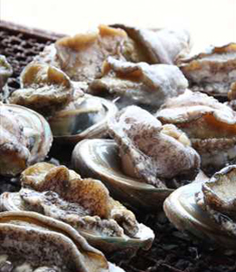 磯崎漁業協同組合