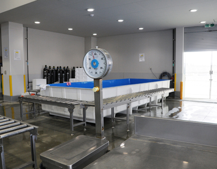 磯崎漁業協同組合 新荷捌所内