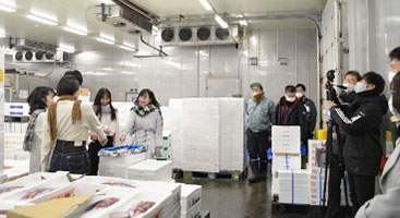 いばらきの地魚プロジェクト「PR動画」の制作