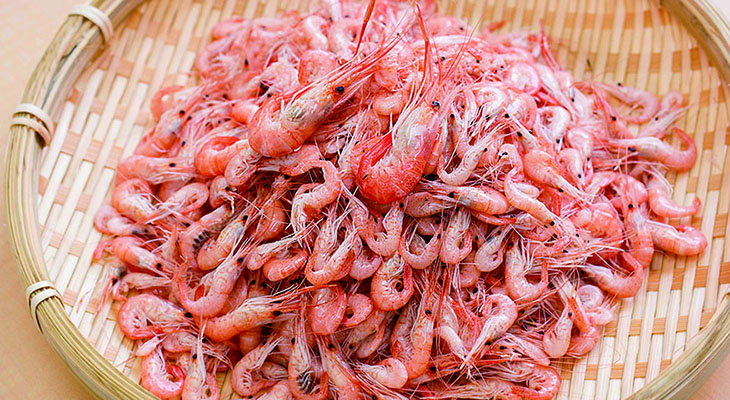 「鮮度」と「資源」を守る！霞ヶ浦の「テナガエビ」！霞ヶ浦地区トロール部会～漁師たちの取組～