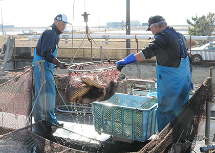 「凍結コイフィレ」ができるまで