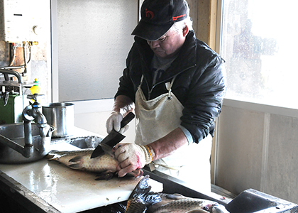 「凍結コイフィレ」ができるまで