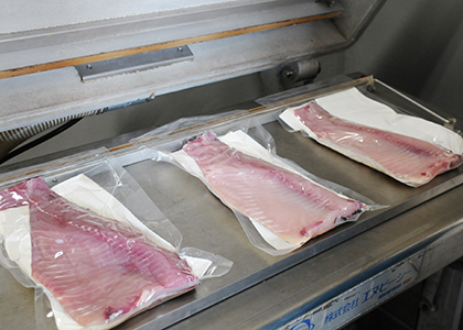 「凍結コイフィレ」ができるまで