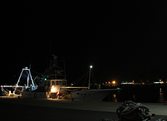 メヒカリ漁 秋風が吹く久慈漁港