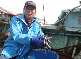 メヒカリ漁 漁師の目利き