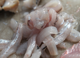 メヒカリ漁 船上で獲れたてのメヒカリを刺身で頂きました