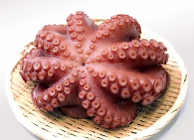 鹿島たこの刺身