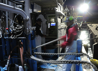 鹿島たこ　船上・漁レポート