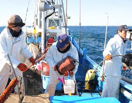 鹿島たこ　船上・漁レポート
