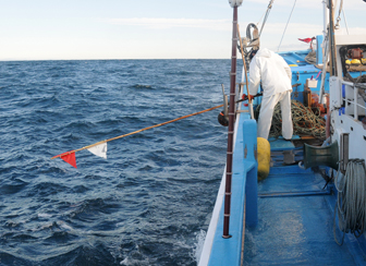 鹿島たこ　船上・漁レポート
