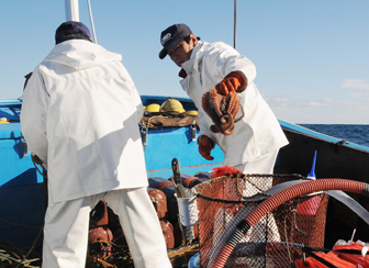鹿島たこ　船上での品質への配慮