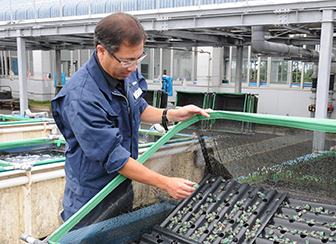 茨城県栽培漁業センター 貝類科長の鶴見祐輔さん