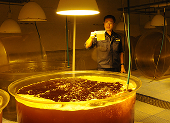 茨城県栽培漁業センター 鹿島灘はまぐりの餌料培養水槽