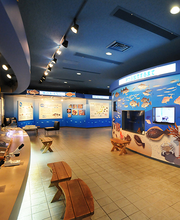 茨城県栽培漁業センター 見学