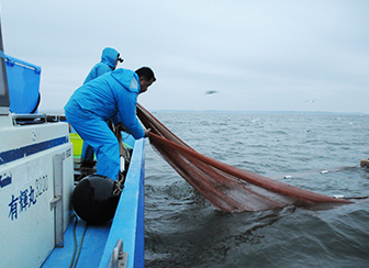 霞ヶ浦のダイヤモンド「寒曳きシラウオ」霞ヶ浦水産研究会 品質への配慮