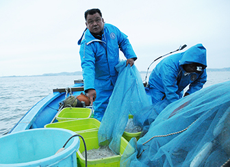 霞ヶ浦のダイヤモンド「寒曳きシラウオ」霞ヶ浦水産研究会 品質への配慮