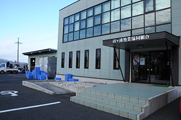 霞ヶ浦のダイヤモンド「寒曳きシラウオ」霞ヶ浦水産研究 再度選別・出荷