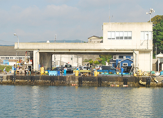 茨城の海を彩る赤い高級魚「タイ」県内唯一の定置網