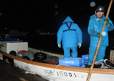 上品で淡白な味わい！霞ヶ浦・北浦の「わかさぎ」わかさぎ・しらうおひき網漁