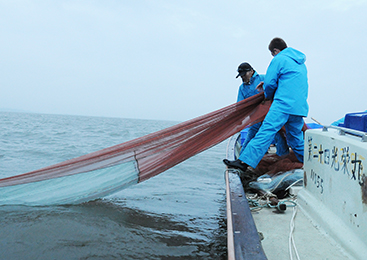 上品で淡白な味わい！霞ヶ浦・北浦の「わかさぎ」品質への配慮