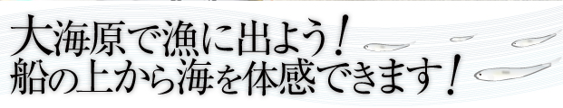 大海原で漁に出よう！船の上から海を体感できます！