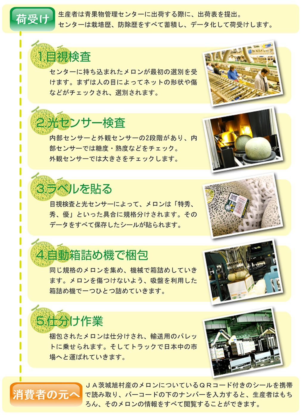 トレーサビリティ・システムの流れ