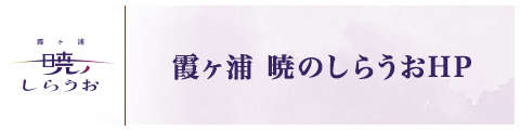 霞ヶ浦 暁のしらうおHP