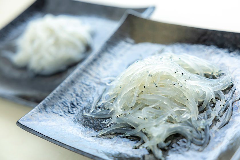 「霞ヶ浦 暁のしらうお」