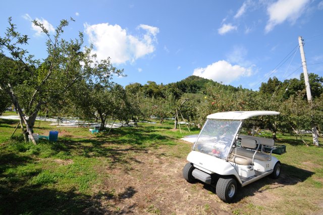 奥久慈りんご園　カート