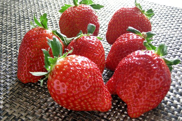 村田さん家のいちご]