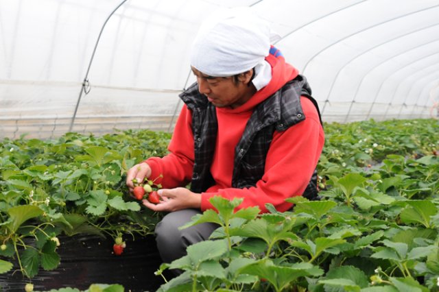 八木岡岳暁さん