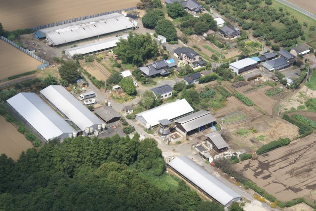 サンゴクファーム　航空写真