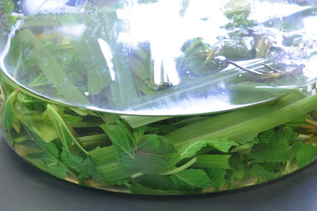 シモタファームのハーブティー