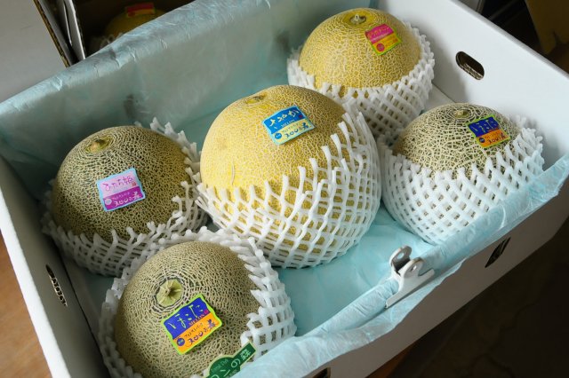 フォレストパークメロンの森