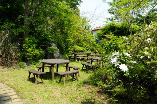 フォレストパークメロンの森