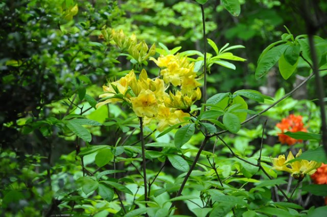 白井さんの趣味