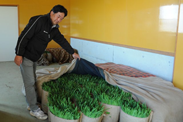 東ヶ崎茂喜さんとニラ