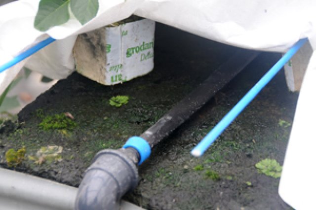 神生バラ園のこだわり