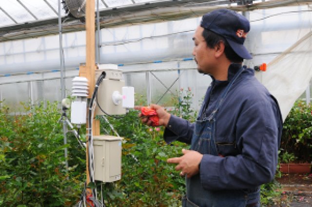 神生バラ園神生さん