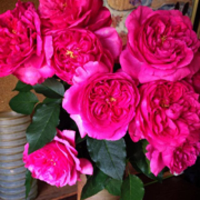 バラを長持ちさせるには？イメージ